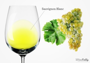 Sauvignon-blanc-wine-and-grapes-770x537 - wine folly